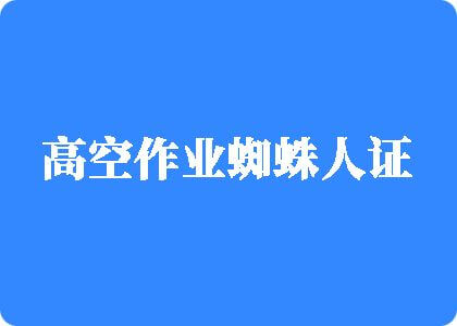 美女鸡巴网站国产高空作业蜘蛛人证